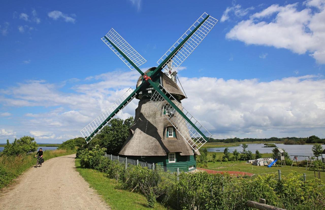 Puehler - Ferienwohnung Amsel Kronsgaard Exteriér fotografie